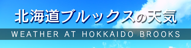 北海道ブルックスの天気